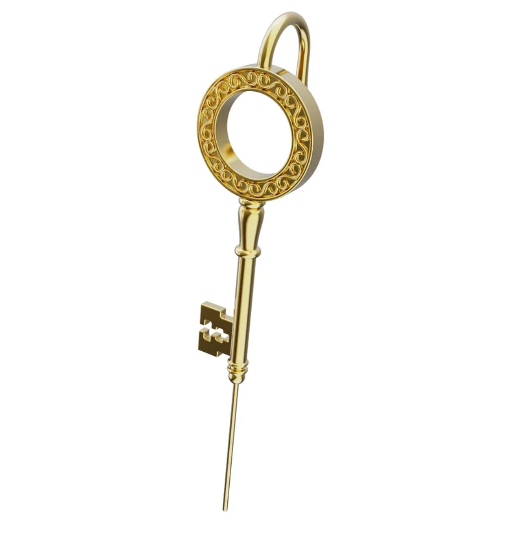 The Key To Life Earring