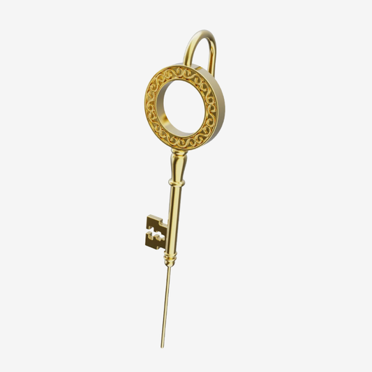 The Key To Life Earring