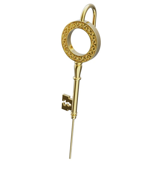 The Key To Life Earring